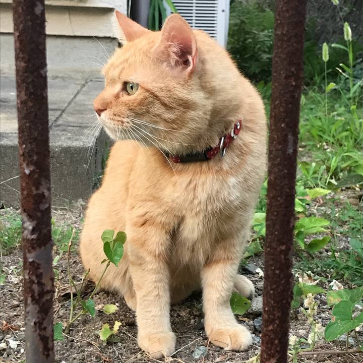 0108ea60 694b 4223 896e b039b52b62dd 1532772313128