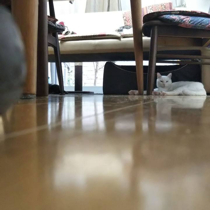 0108f1bb 0d71 412f a71f dbc48bb11ff2 1635750986101