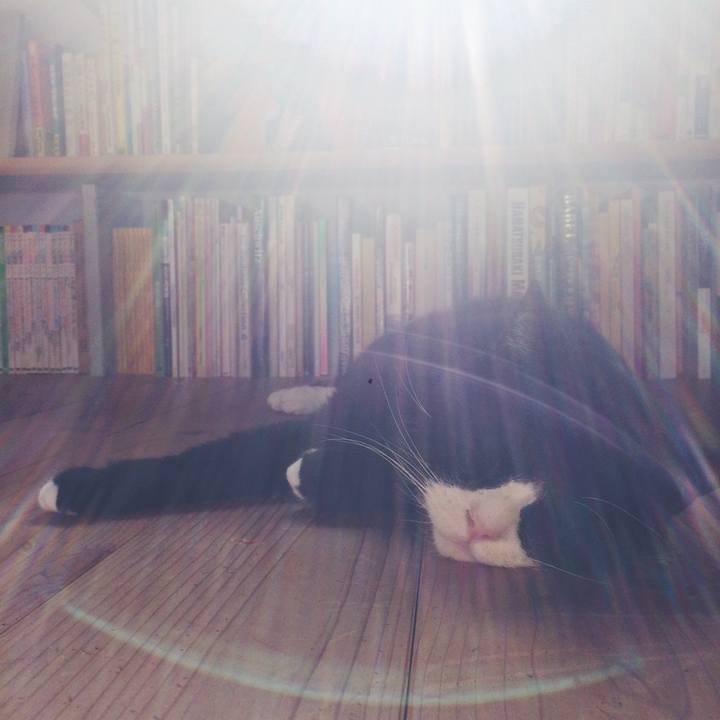 010927a4 2f49 4a93 be05 b5cbb848d45e 1525042849991