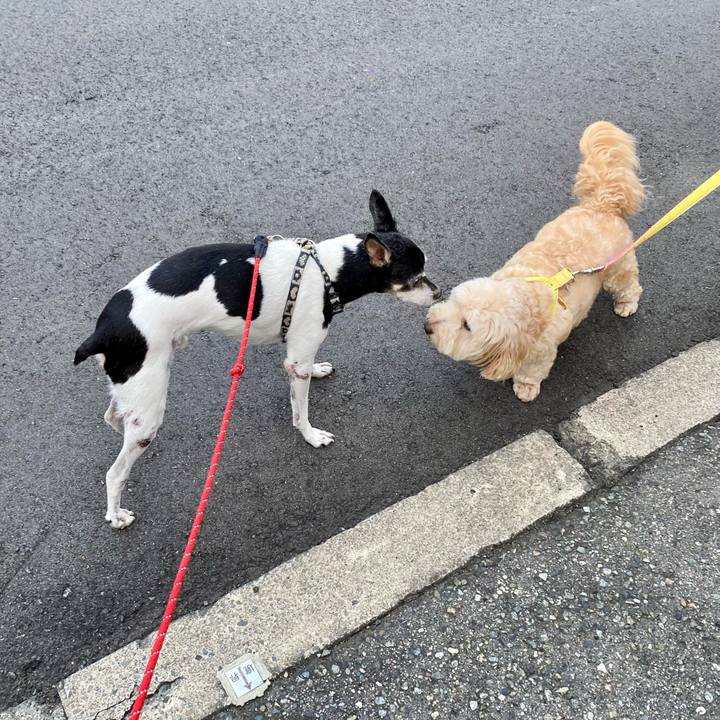 01092ab5 b58c 42e1 89fb f201a34424ff 1630019099125