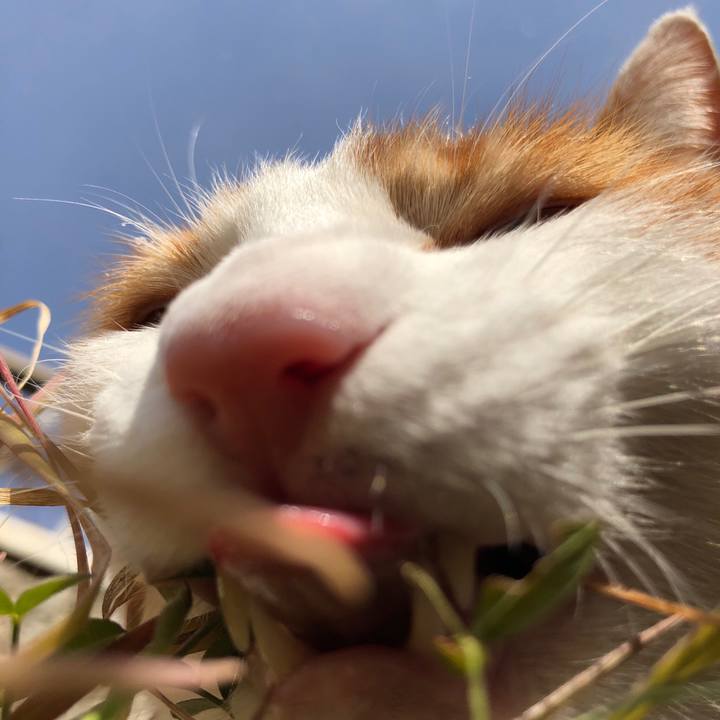 01096885 4da7 4766 b665 14f797e05efc 1548213232169