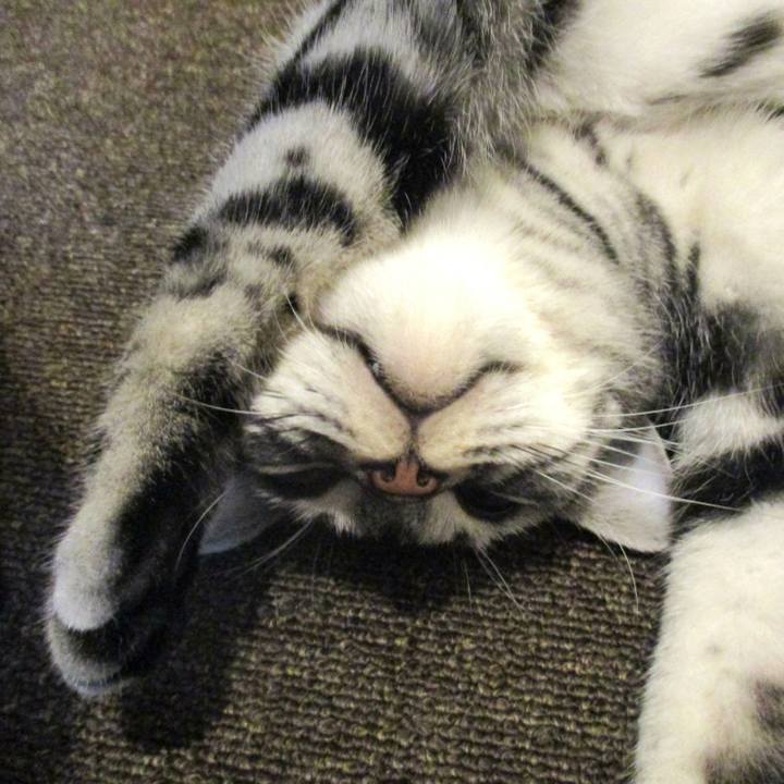 01098278 c8d3 4bbc 9312 38e5796658fc 1573274818087