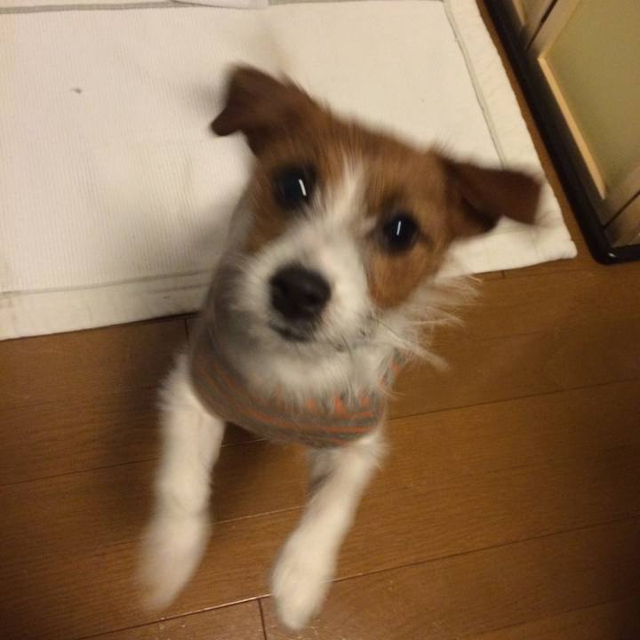 0109a701 dc77 402d b8da 63a39097fe70 1512124190767