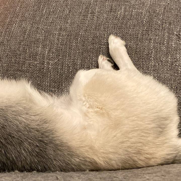 0109f4e8 5134 4b61 87ec 878681167ff0 1669480915656