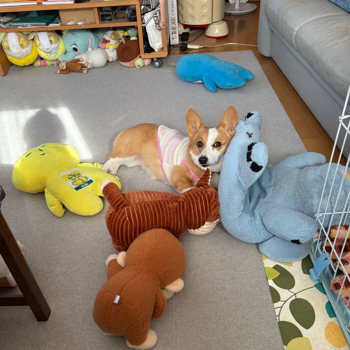 010a062d ef9b 4bdb abc8 7048fafeb7f2 1768017922346