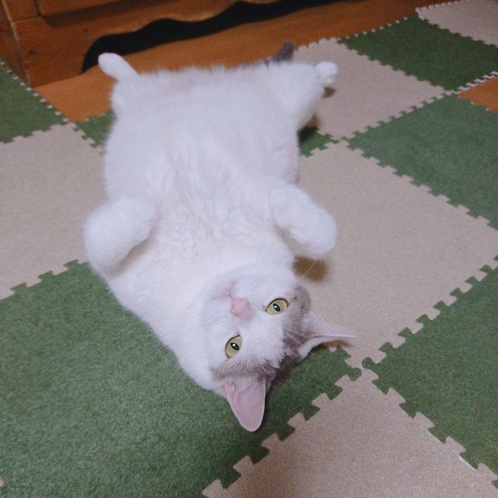 010a28d4 c29e 4084 b850 2dacee7498ce 1532788236560