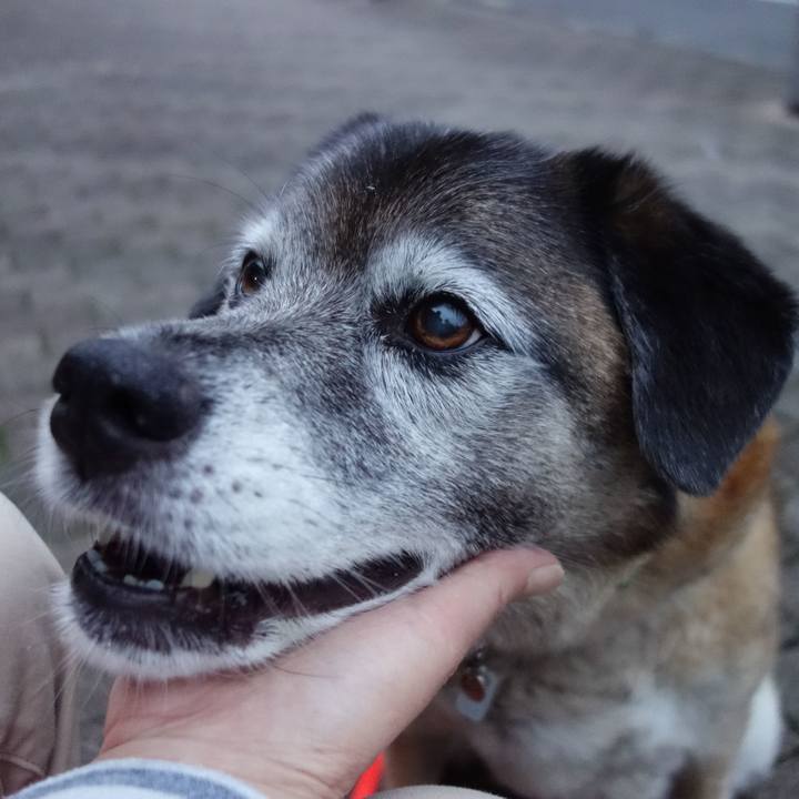 010ab927 83ee 4b37 97e9 de98ac383ef4 1562930082135