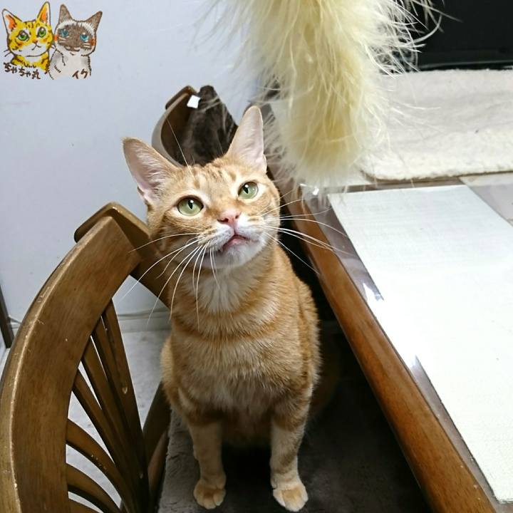 010ac3d7 8eba 4d59 a17b d1d4066f426e 1552815878776