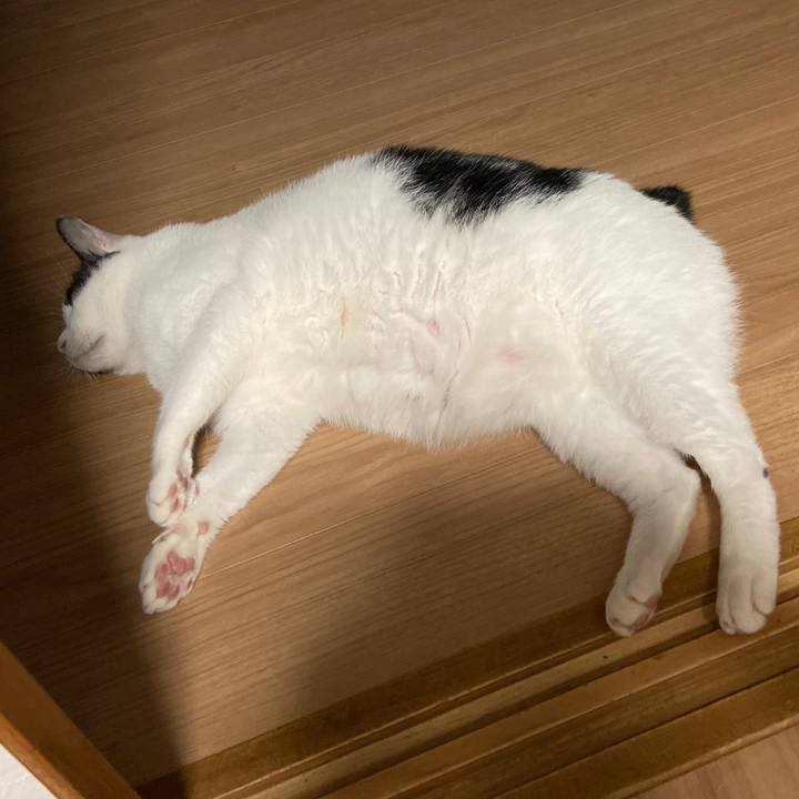 010ac804 322d 47c0 91a4 43134d64fa23 1602589442181