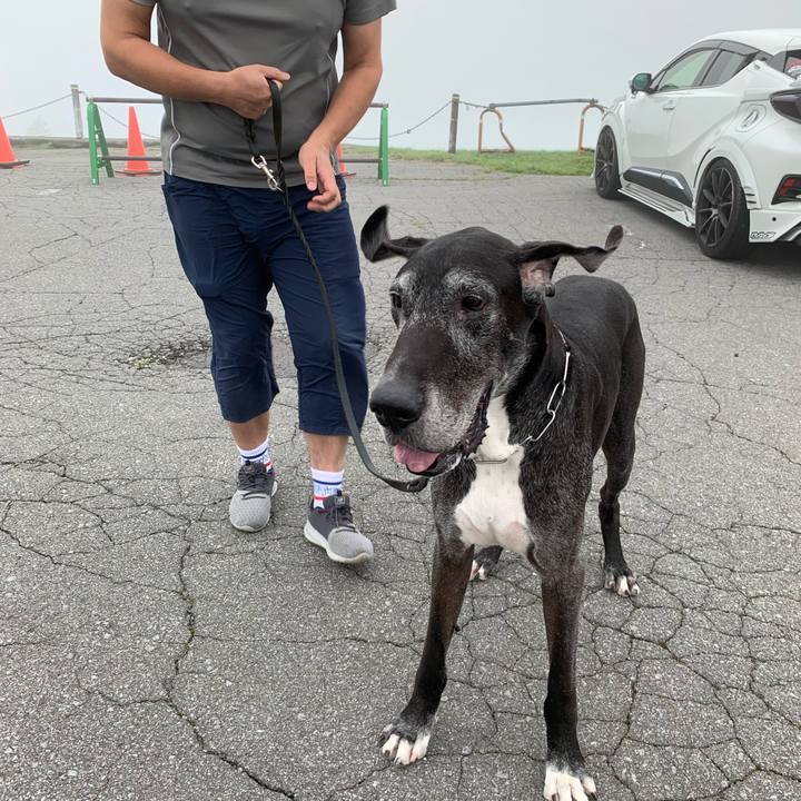 010ac9b7 eed2 4e8a 9087 33c2e9362f00 1596930046551