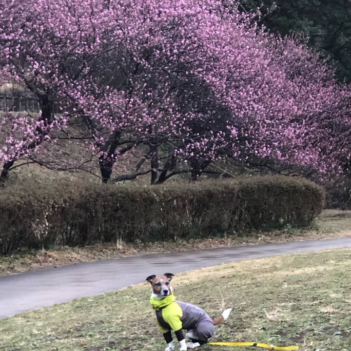 010acea3 ff9d 46ab 9033 3959e8c96ad2 1614652767342