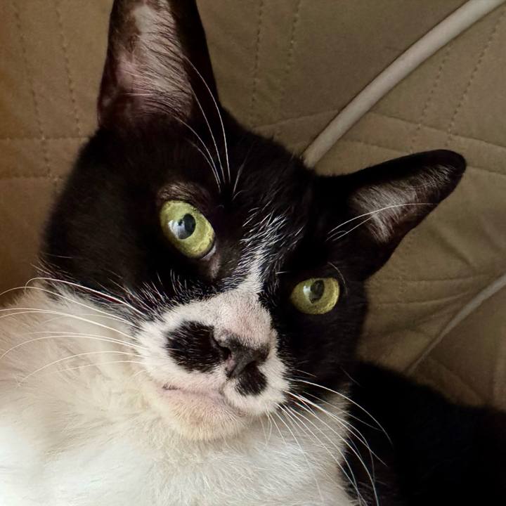 010ad254 a484 4b0b a5e3 8222d3e6db41 1750462745601