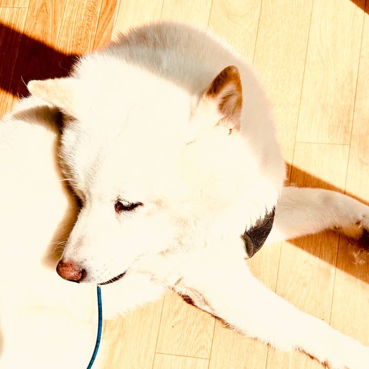 010b00e9 c7bd 438a 989a 8f2db98572ff 1713067539972