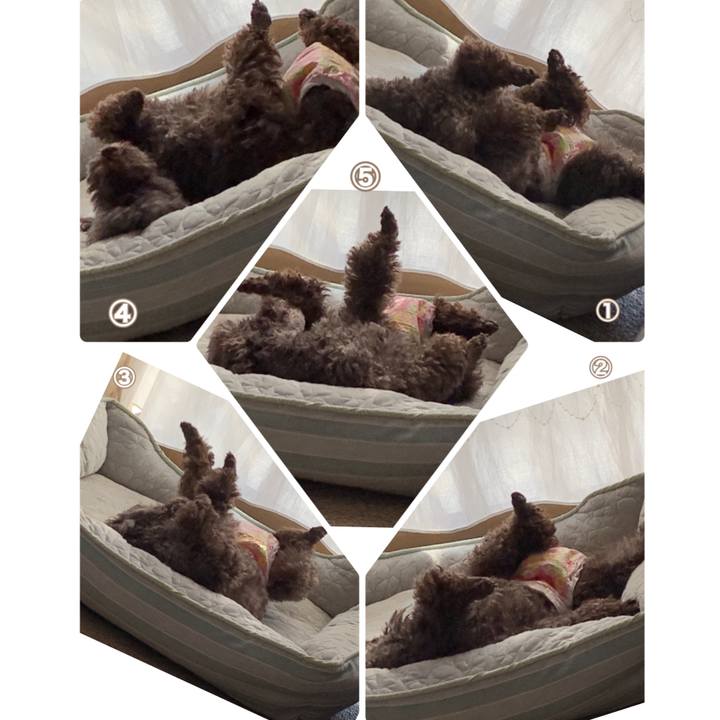 010b132a eb90 460c 98bf 15c8a9055773 1568784944809