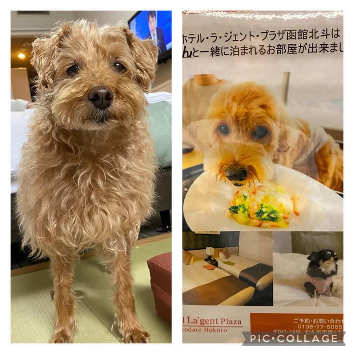 010b41af ee8d 4297 962d 60c2924cd284 1684673570131