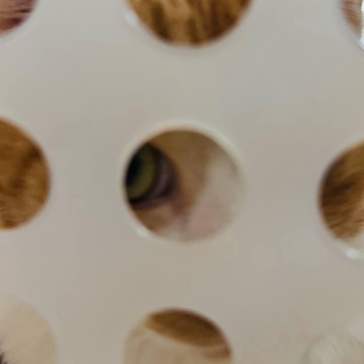 010b4888 b1de 48d9 a65e 07dc0004a8e4 1776741046755