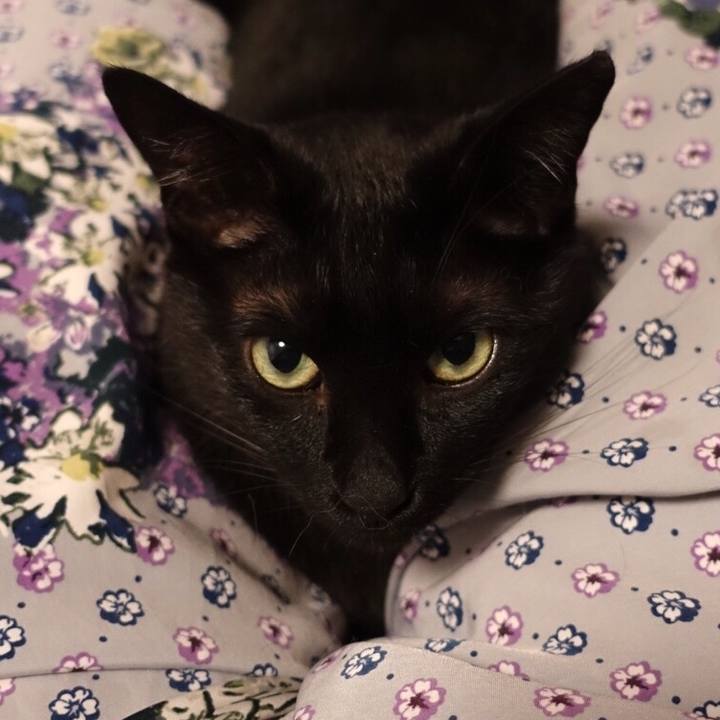 010b75b3 fee1 4bb8 af18 2bb728585e21 1514044871731