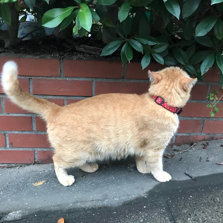 010b95ef 2558 4422 800b b9f06463d6b2 1531051644135