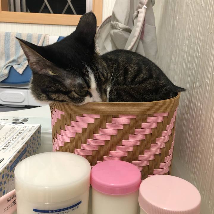 010bc2ec 7331 451c 8558 faaa0c4fd75d 1565534066845