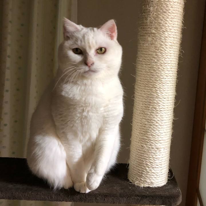 010bf3c5 5da6 4293 a6a6 958bf5f7f7a9 1522801734940