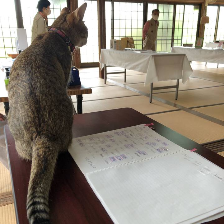 010c2eec f3da 4ac2 a6ff ff0f2f92071d 1619583229274