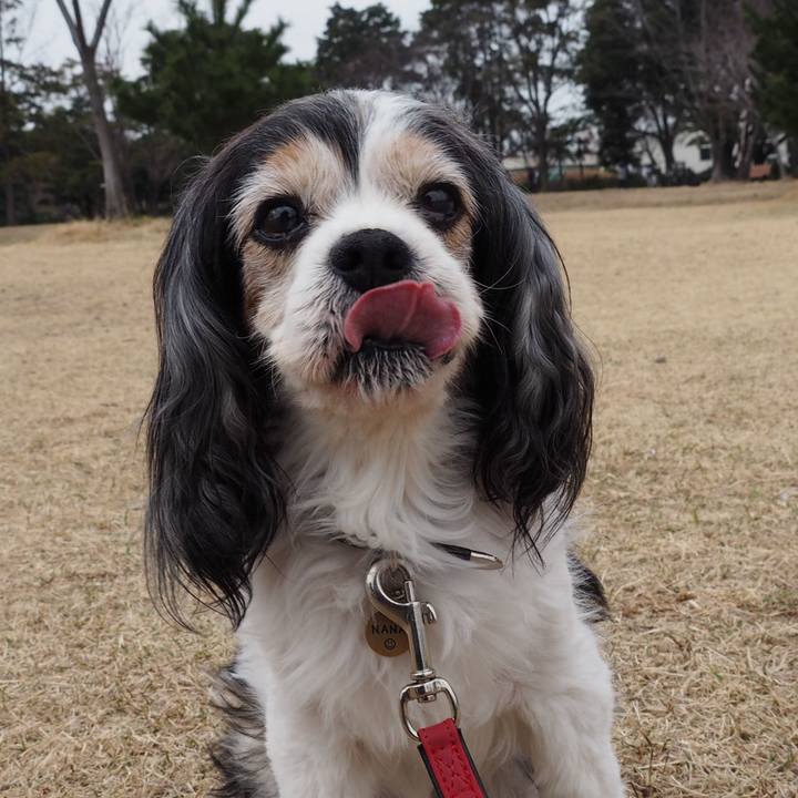 010c30d2 92f1 4482 9db5 997060cd4d8a 1583570612358