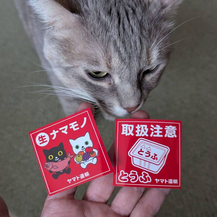 010c337b fc08 4f9d 9223 7830733804f5 1764309983925