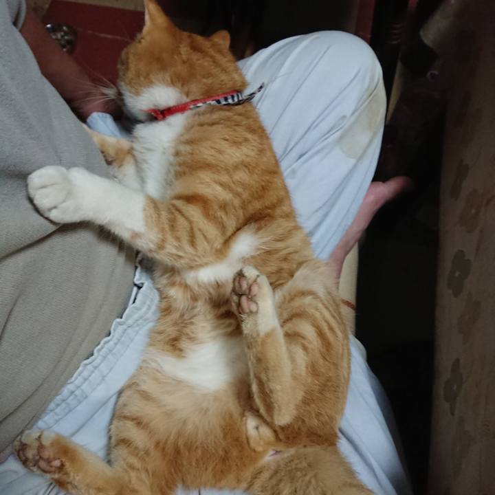 010c3d71 f644 46bc 97e9 c5f649209de8 1571739745665