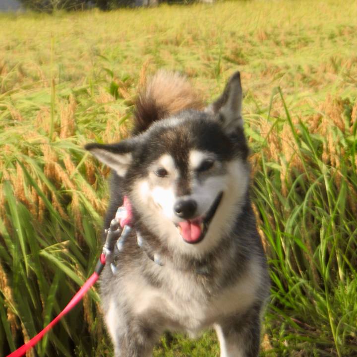 010c785a 55f5 4b25 b9f8 e0e87c55b72c 1726186029015