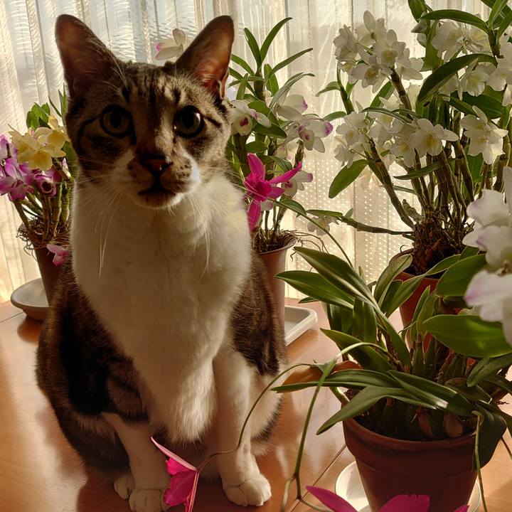 010c79cd 4452 4873 82a3 3f829b685b62 1706744456884