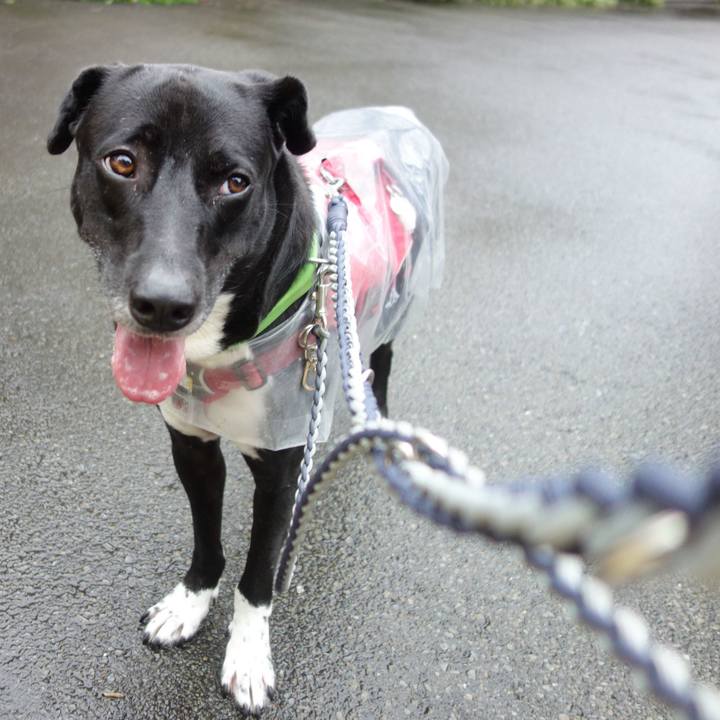 010c9359 1b6b 4cde a28f 2f14434cb264 1625788110304