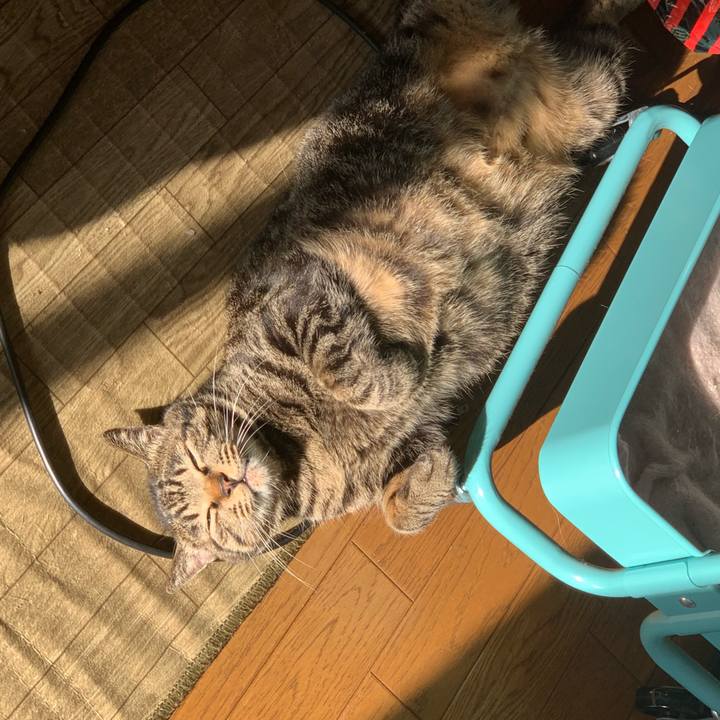 010d51c5 1e3b 498d babc 283a1494a053 1540464226850