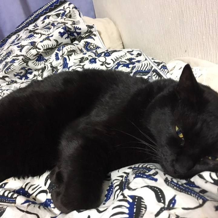 010d62a6 7db5 4ba7 9f20 0931209e7c96 1558531046945