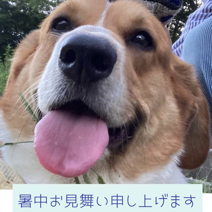 010d991d 5407 490a 8e20 35e01f944ddb 1690080757366