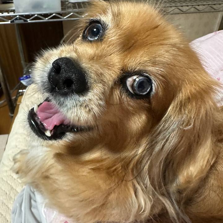 010d9faf 4592 477d a211 95297a50c2cf 1712524043361