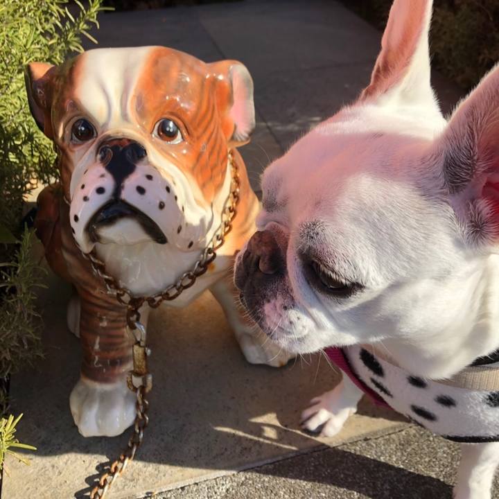 010da60b 1184 4ee3 a195 9bf45c18feea 1547433665348