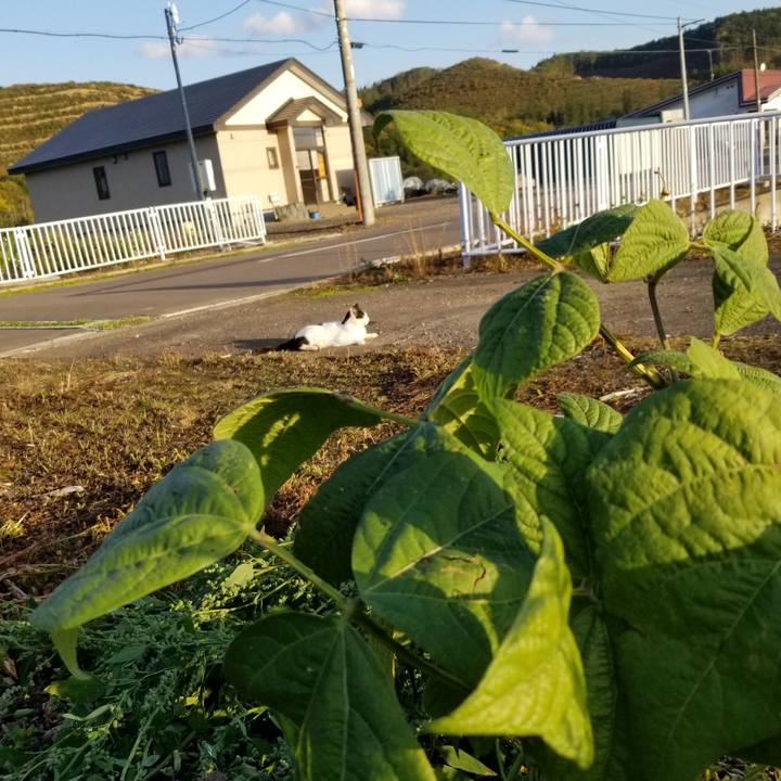 010dc9e9 fd5a 433d aeec 6c4d14931bbd 1633266721725