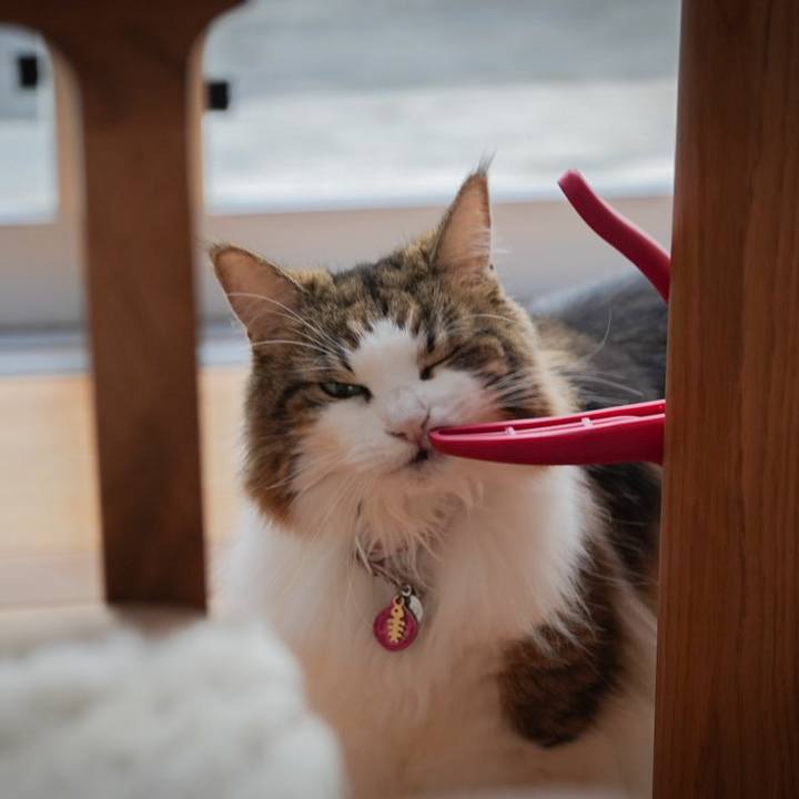 010dd20c 6274 4e27 8b96 01062a9c9559 1728881250647