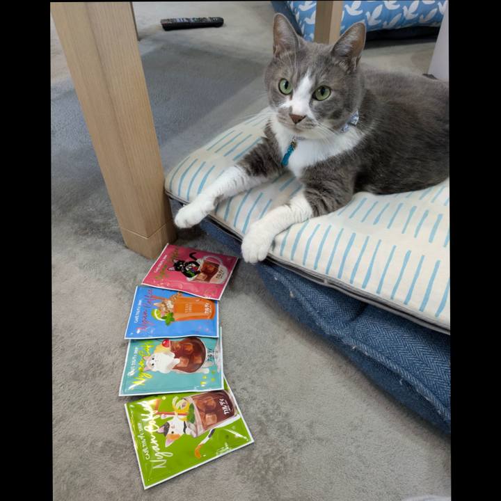 010de06c 737d 4bc1 907b 30885a5d71f1 1753507784545