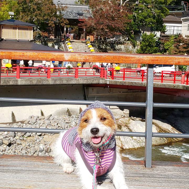 010e05d4 a61c 453a ba3b bb236c13f35a 1573444449056