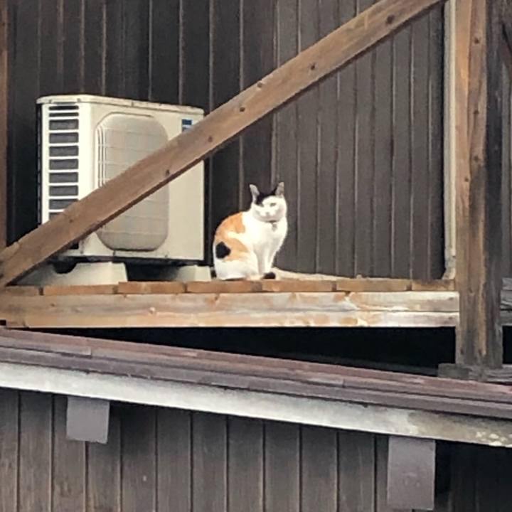 010e0eb4 3537 4f37 af79 6d08b2335f56 1613342847758