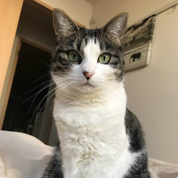 010e2246 1c25 4992 9615 12ae5827515d 1542930053054