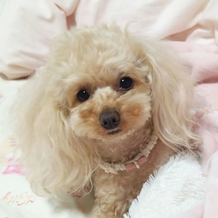 010e3428 8ef1 433b 8ae5 0a7a71441745 1524838144765