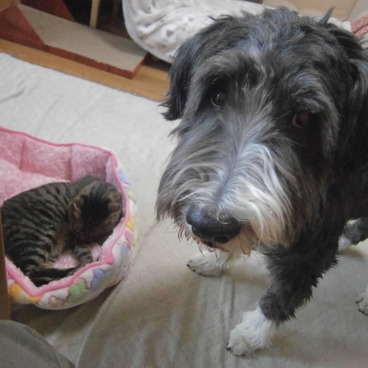 010e4217 1c16 4b8c aaca 3433fad8b481 1524953533556