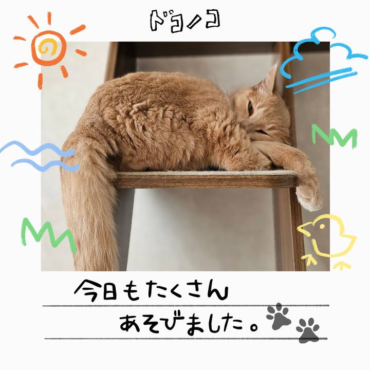 010e43e2 91c0 4ea1 ad88 e361e6342fae 1755315501988