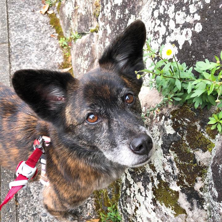 010e6ba8 c881 4ab1 b2f7 c289364552a4 1585913930486