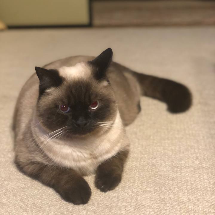 010e8eaf 17b0 4eff a6c7 6de875aba8c0 1611145028090