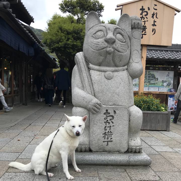 010ec275 a259 4b66 8899 5e2c619ac973 1523691401547