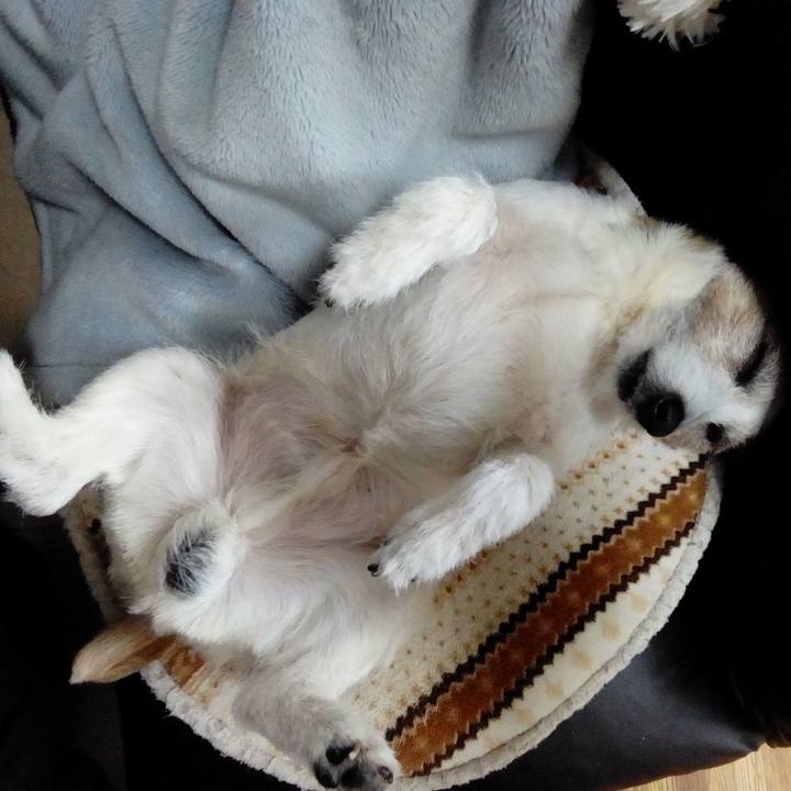 010eca8b 0728 4d7e 8804 54ae2cd4bcd4 1559218251459