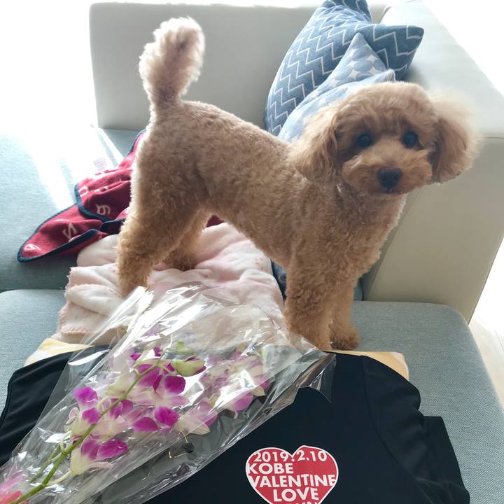 010edb97 7af5 485c a1c9 879a93a02c81 1549790033816